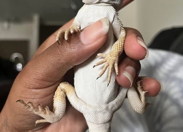 😏Очень бородатое мнение