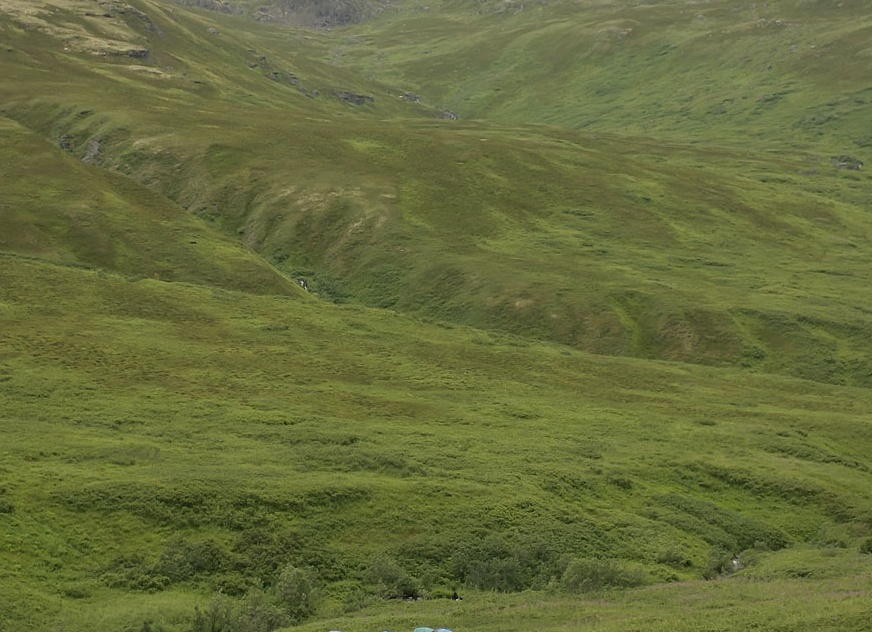 Барбершоп на колёсах! Рекламный ход или выгодный бизнес?