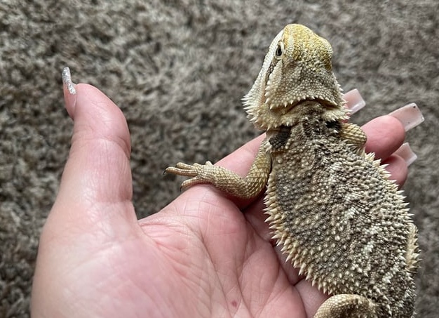 Бородатый вопрос.