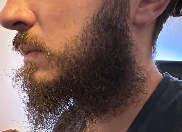 33 фото лучших стрижки бороды для мужчин на 2018-2019