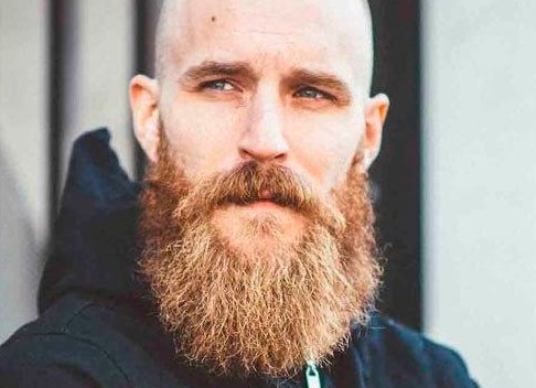 Борода Гарибальди